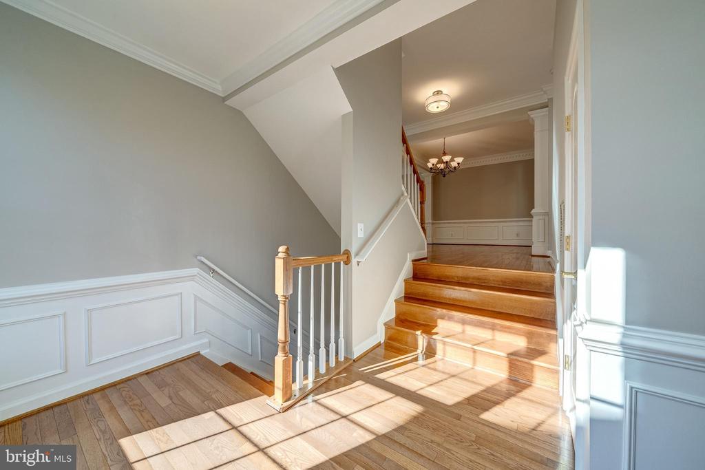 9561 Lagersfield Cir