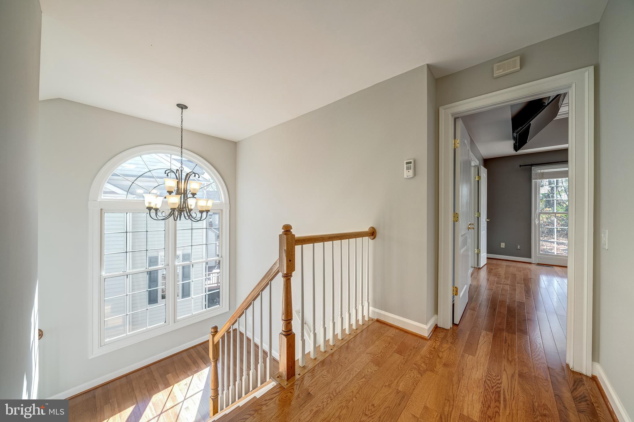 9561 Lagersfield Cir