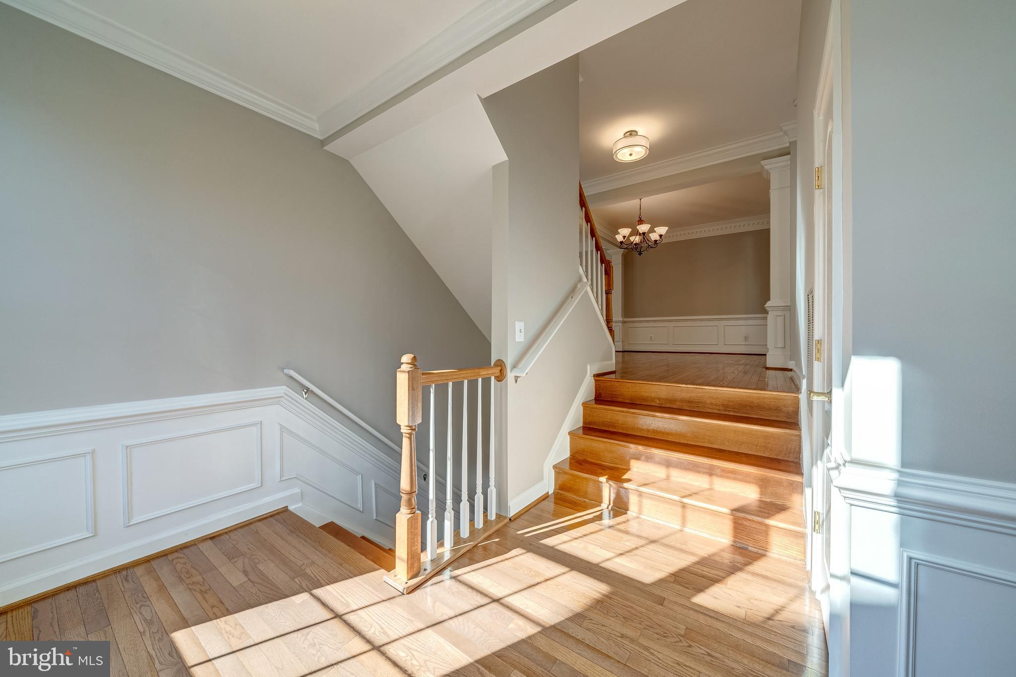9561 Lagersfield Cir