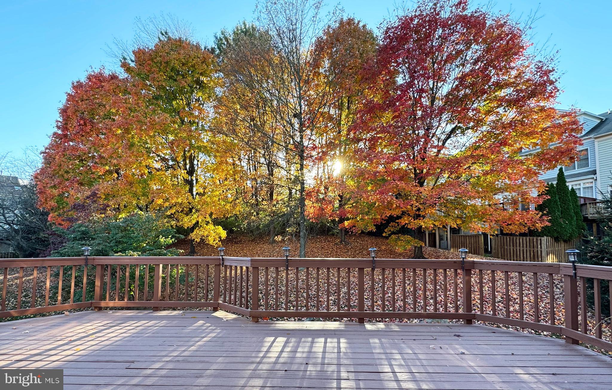 9561 Lagersfield Cir