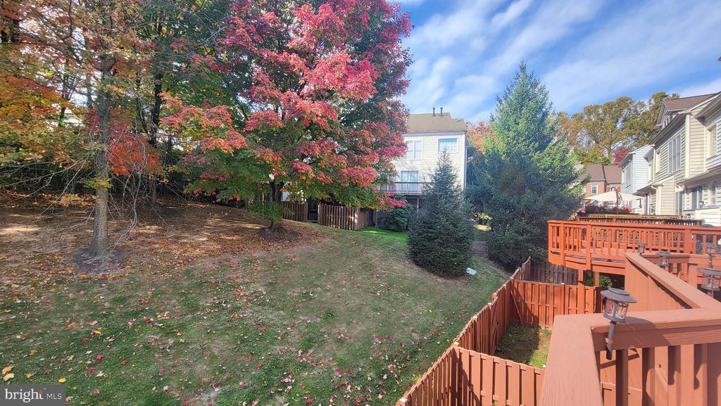 9561 Lagersfield Cir