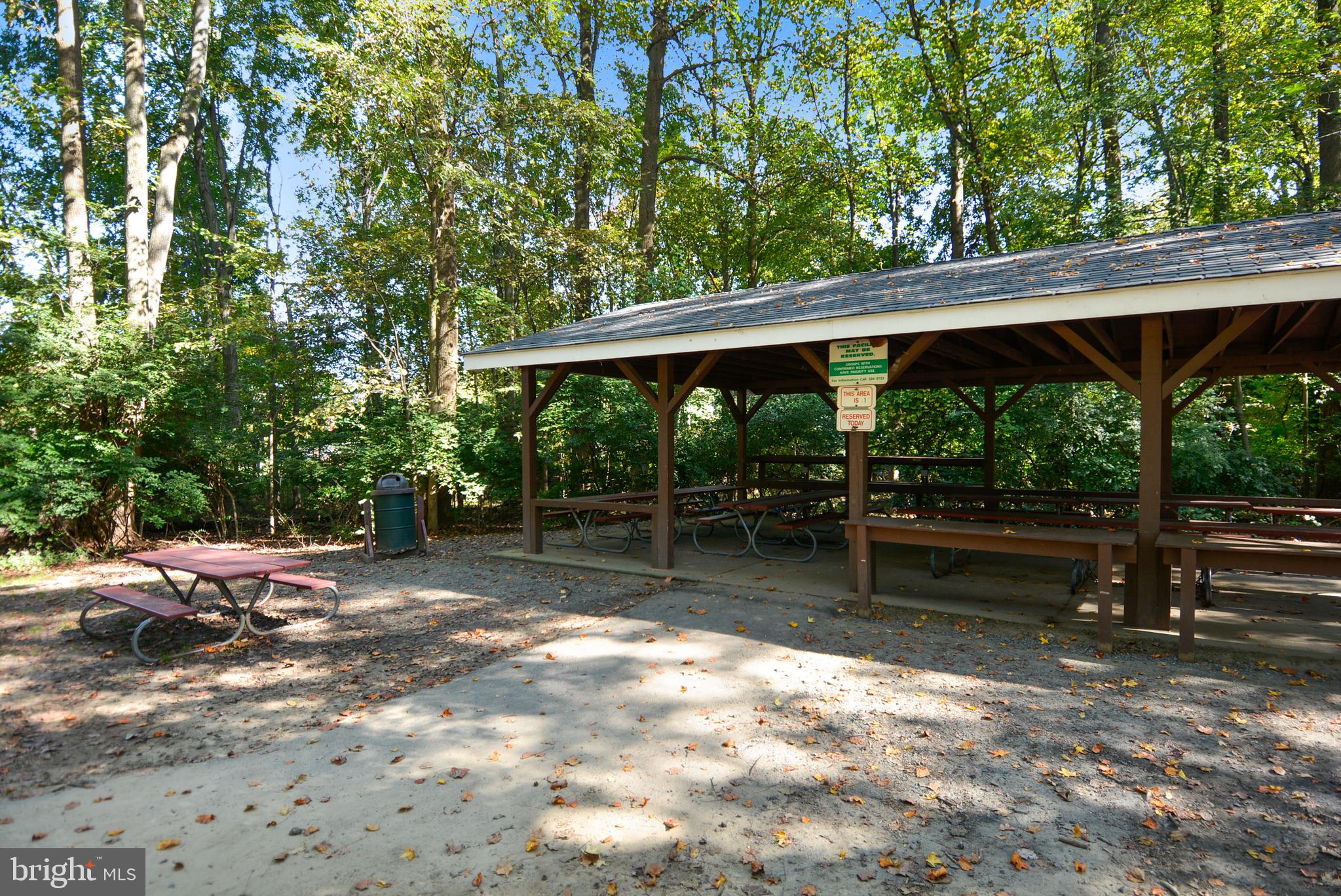 9561 Lagersfield Cir