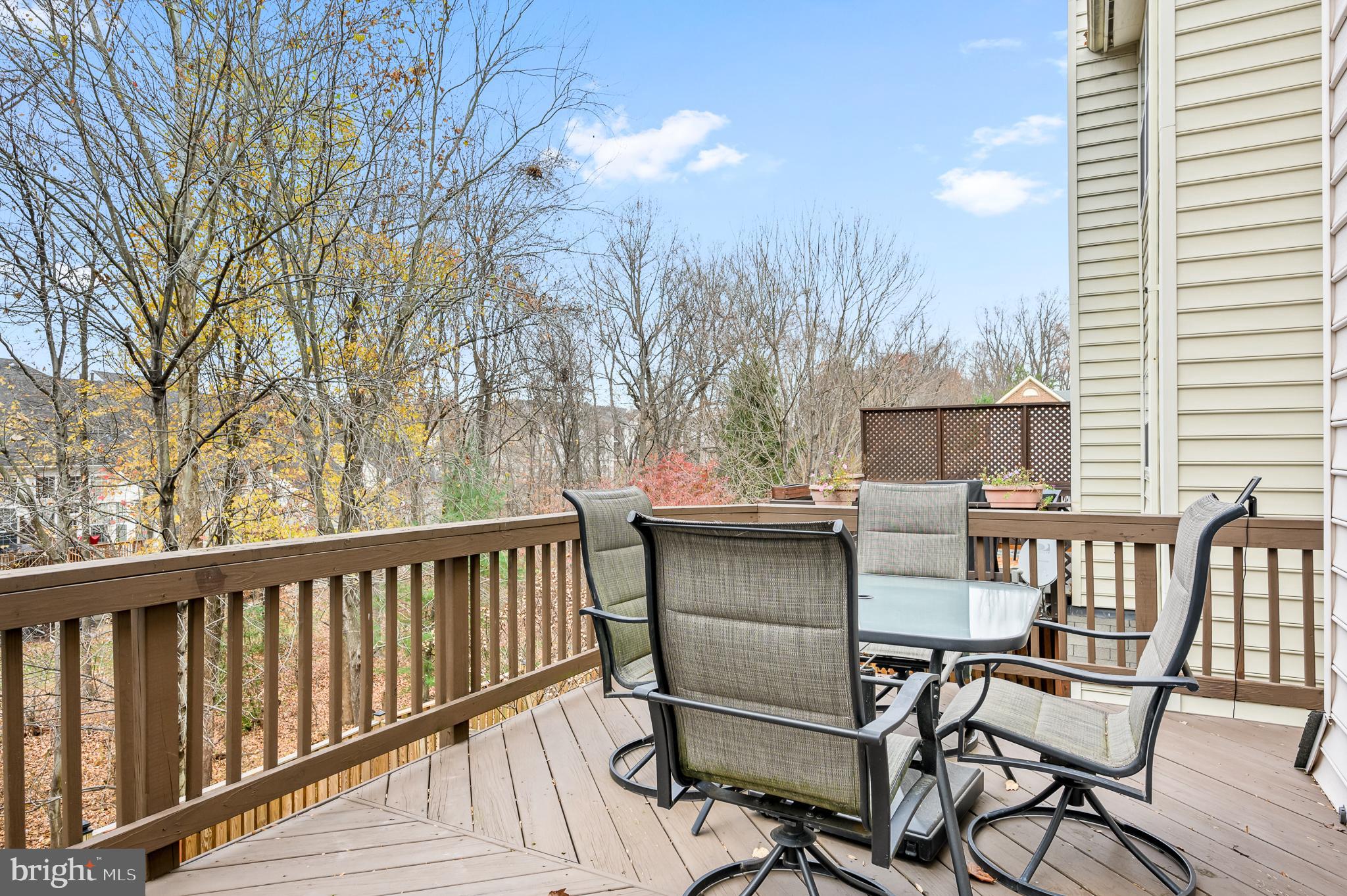 47527 Sharpskin Island Sq