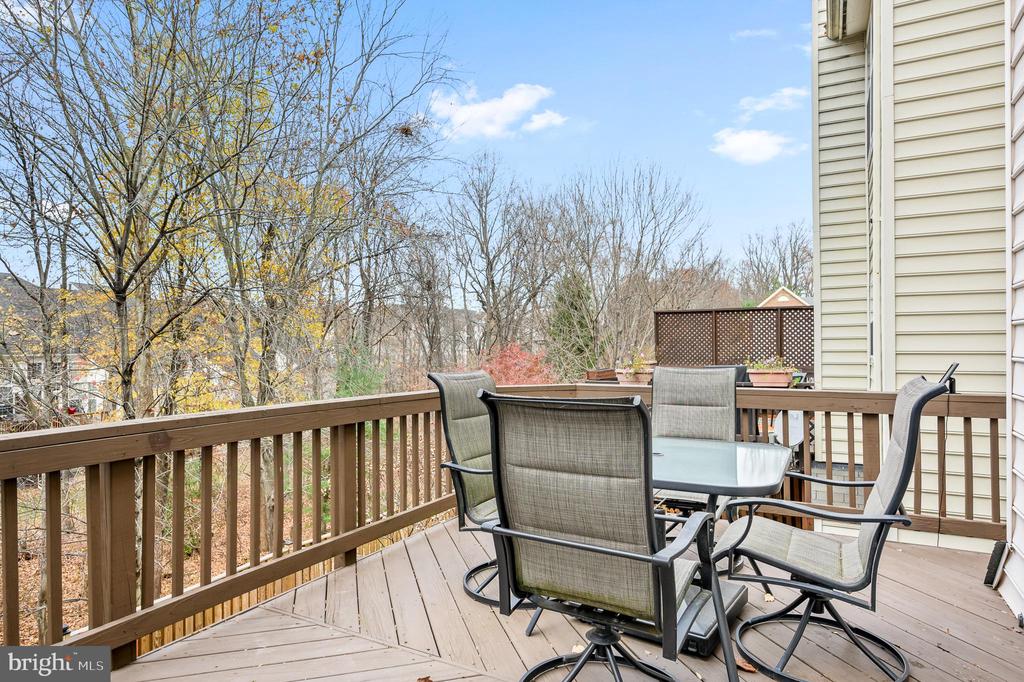 47527 Sharpskin Island Sq