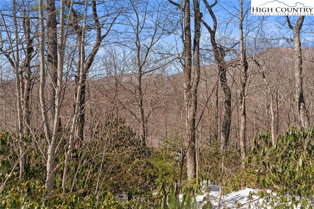 Lot 134 East Stone Drive