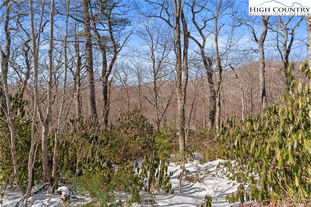 Lot 134 East Stone Drive