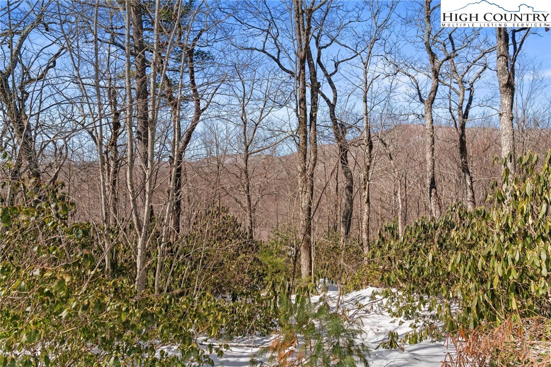 Lot 134 East Stone Drive