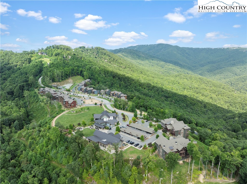 353 Calico Court