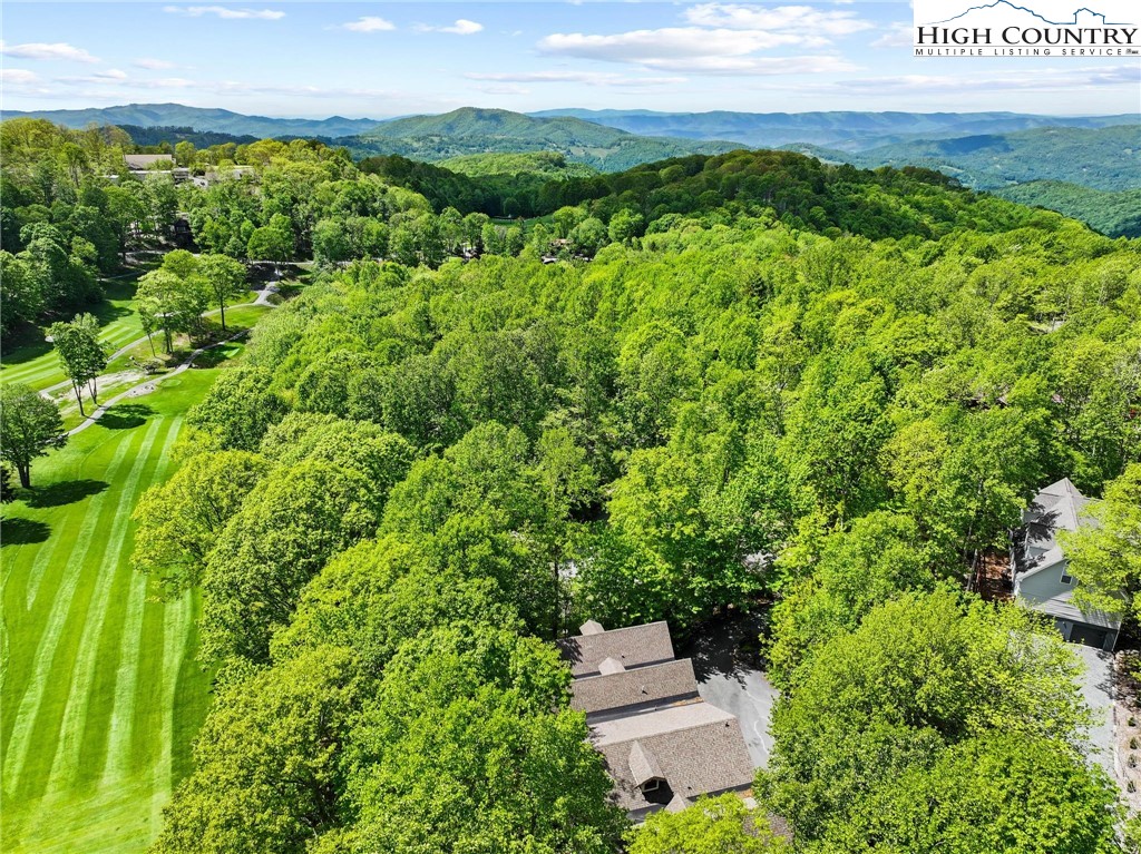 101 Golf View Drive 5