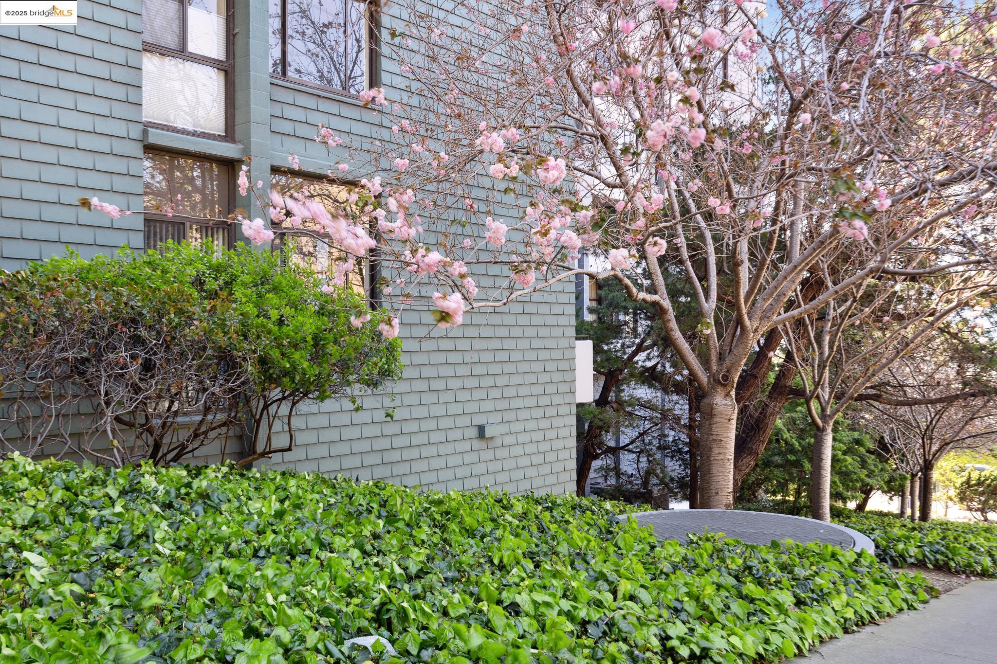 555 Pierce St # 336