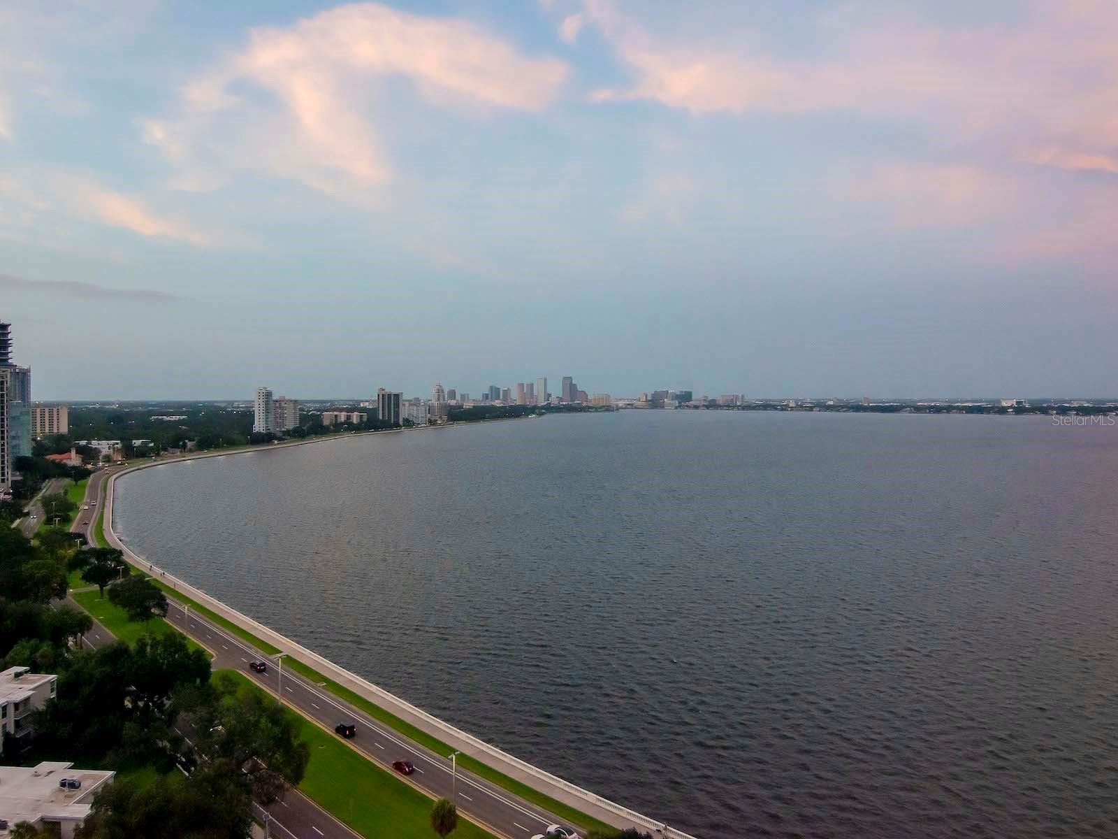 3401 BAYSHORE BLVD #1703