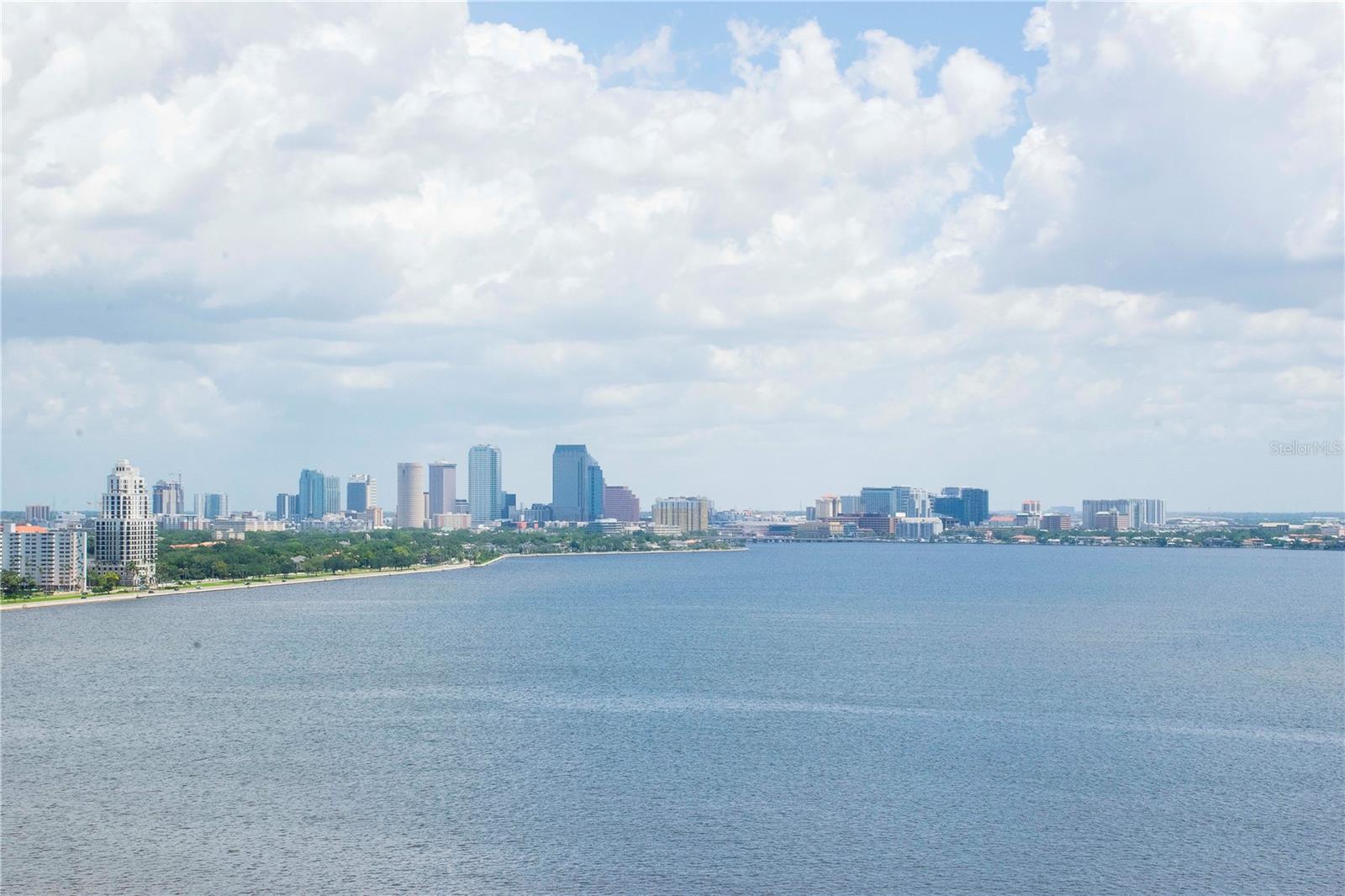 3401 BAYSHORE BLVD #1703