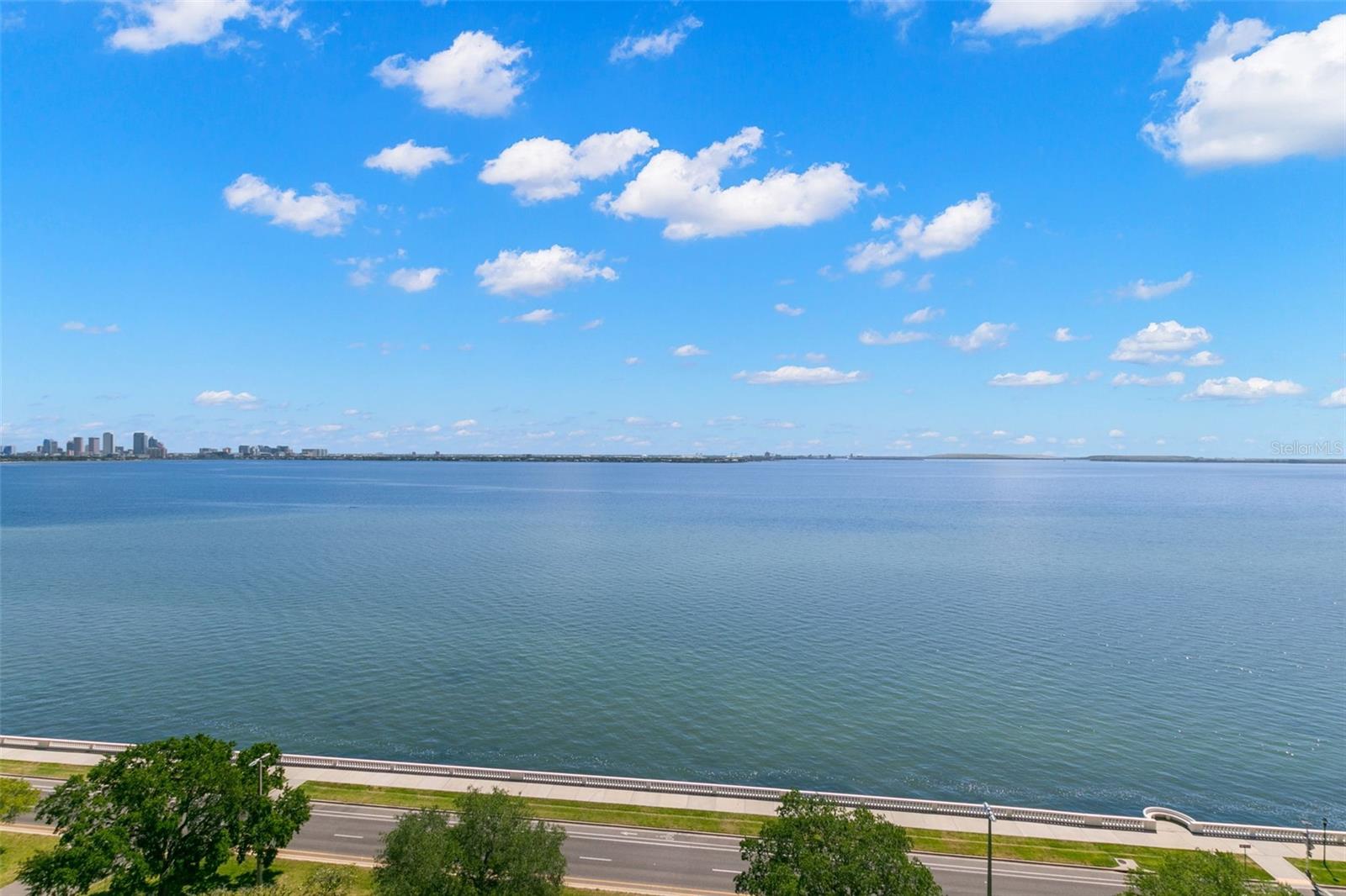 4141 BAYSHORE BLVD #1402