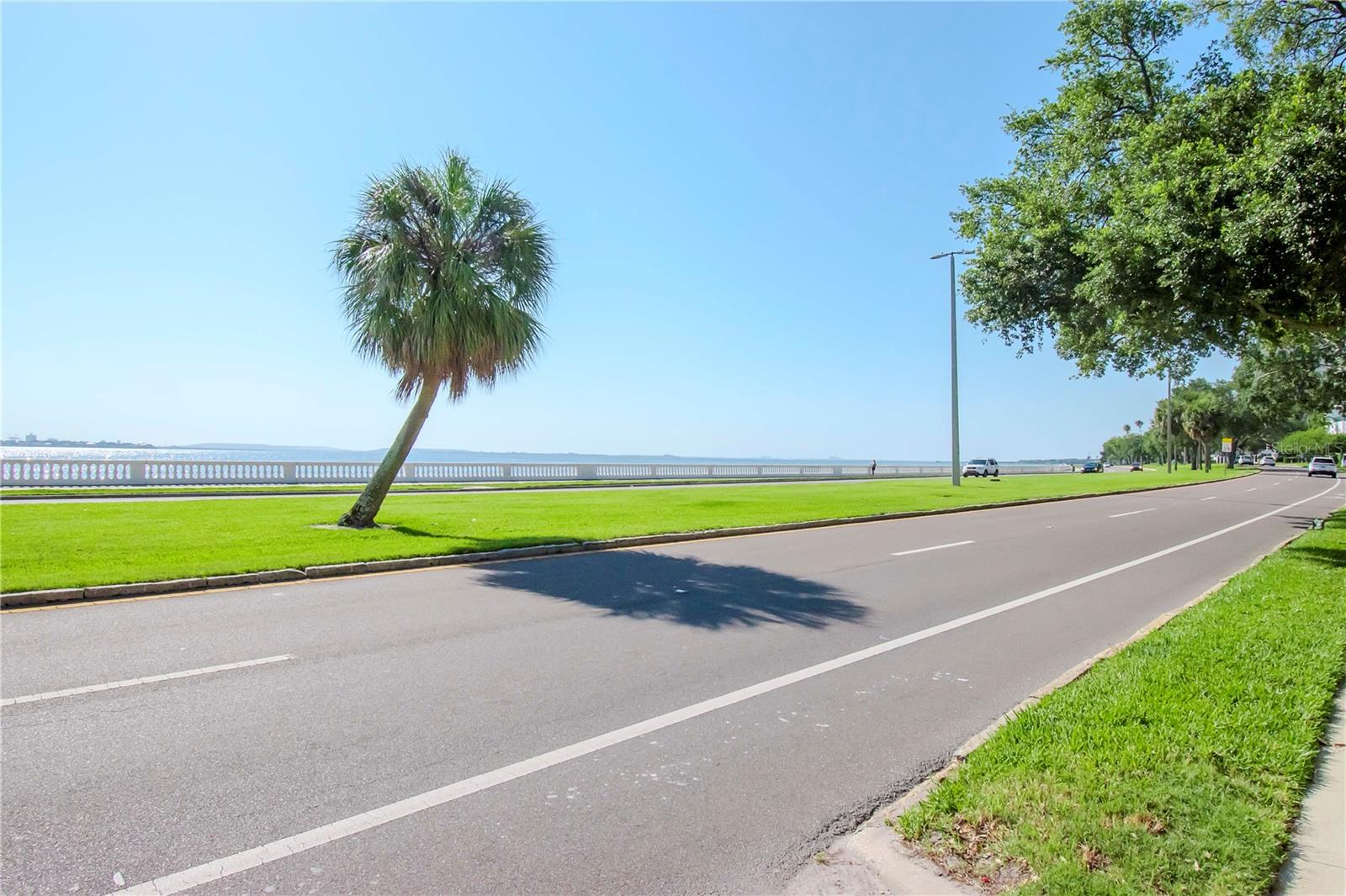 3325 BAYSHORE BLVD #D14