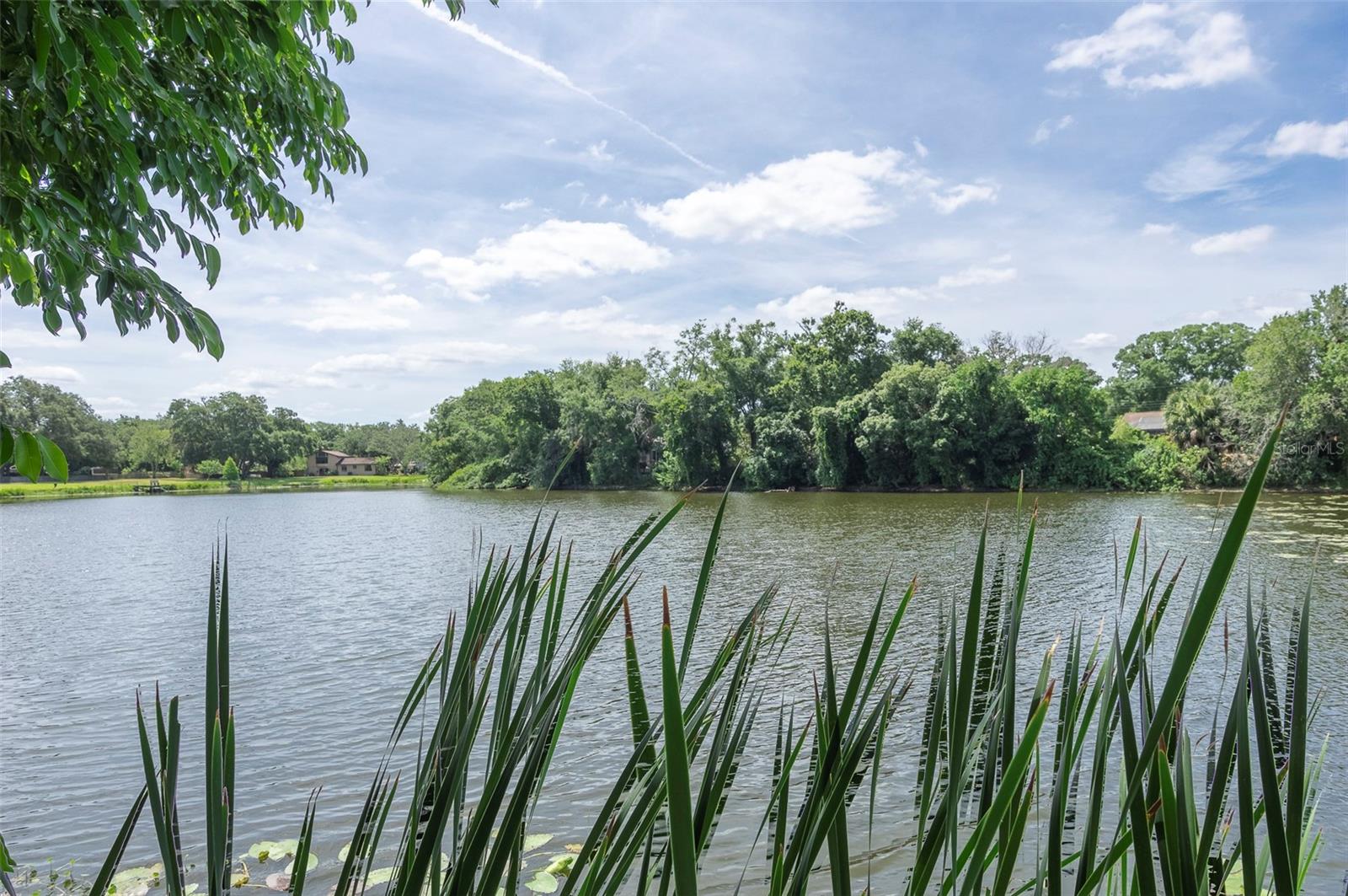 15336 WINDING CREEK DR