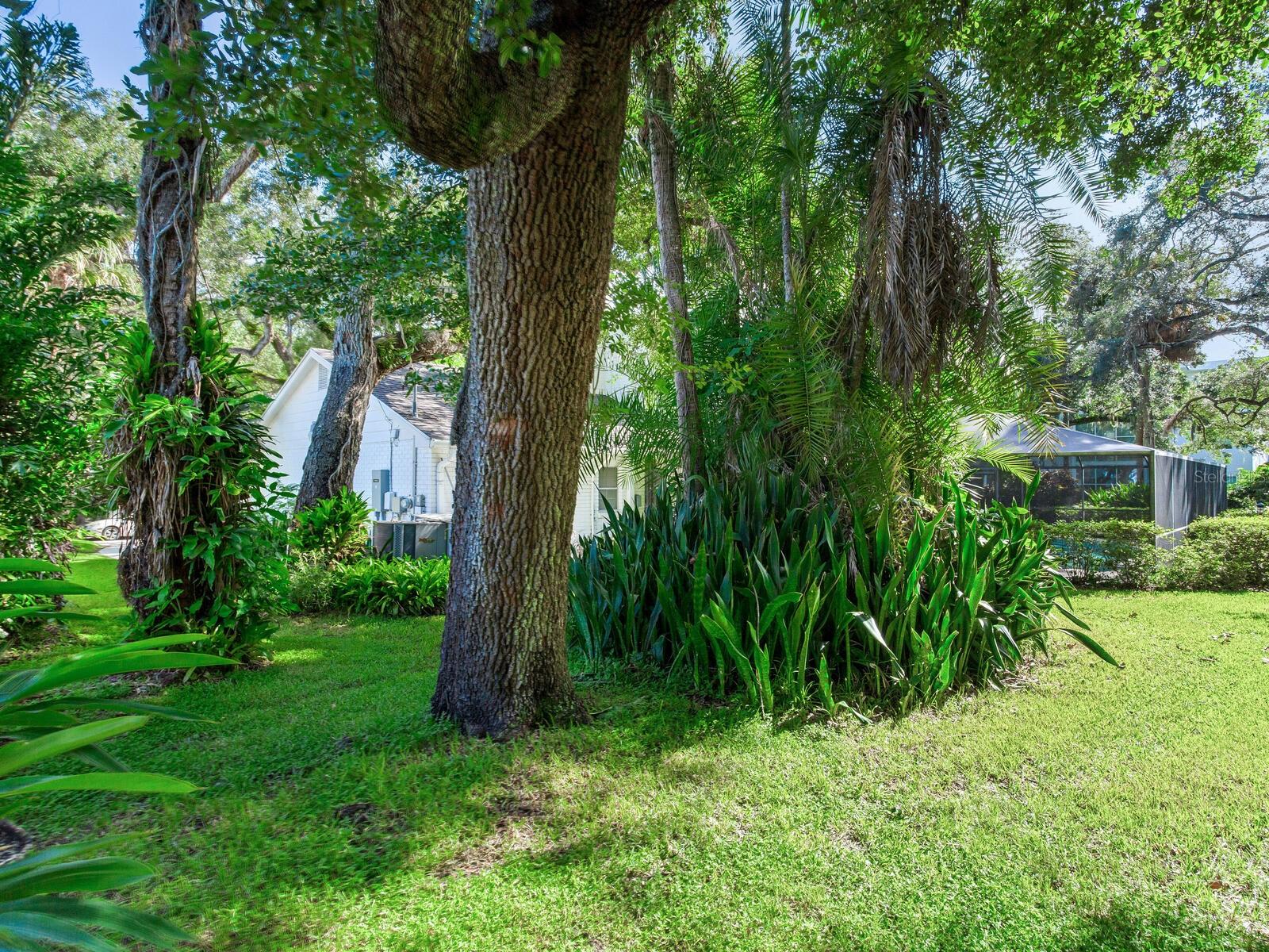 2902 W BAYSHORE CT