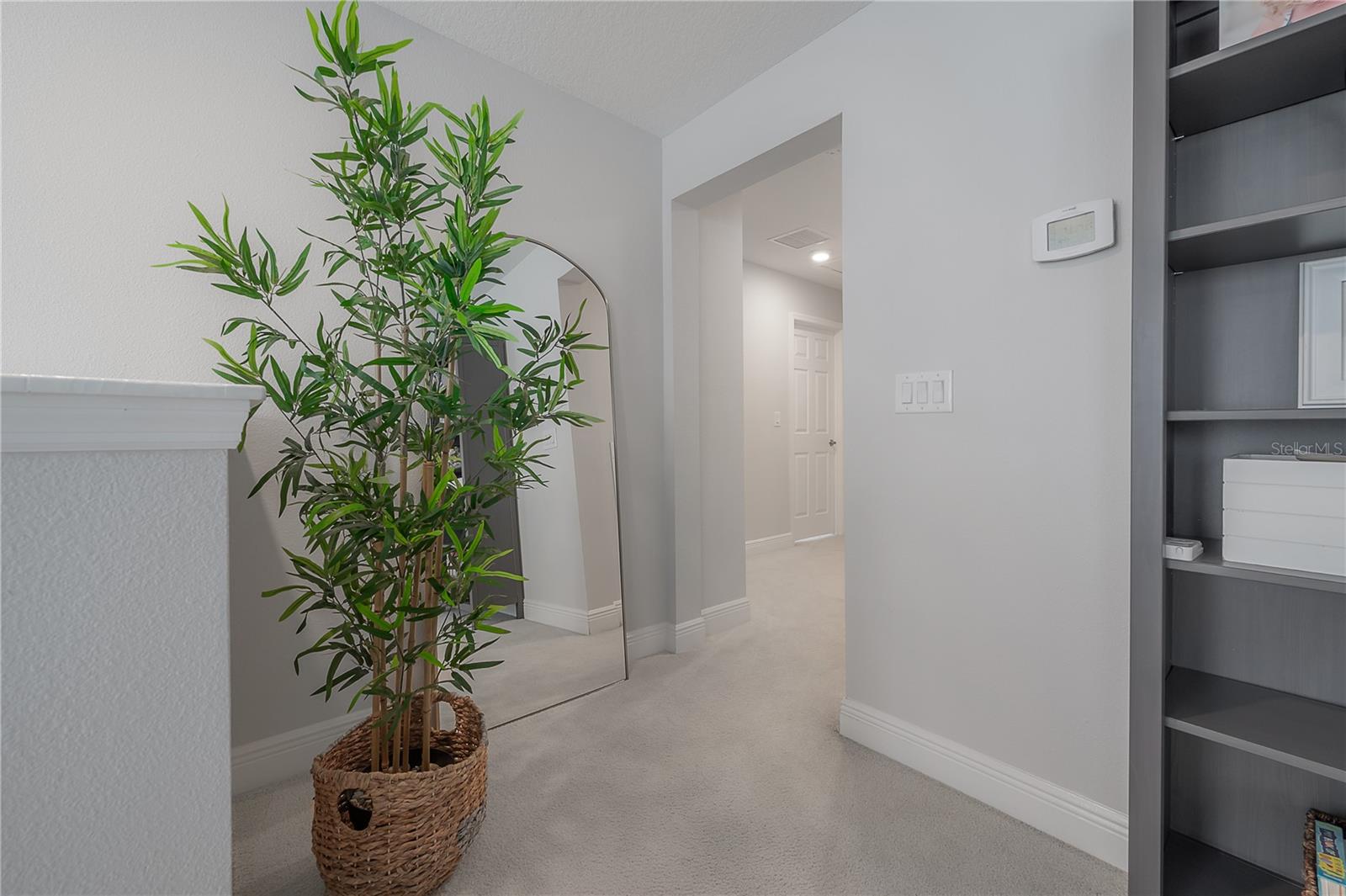 11633 SWEET TANGERINE LN