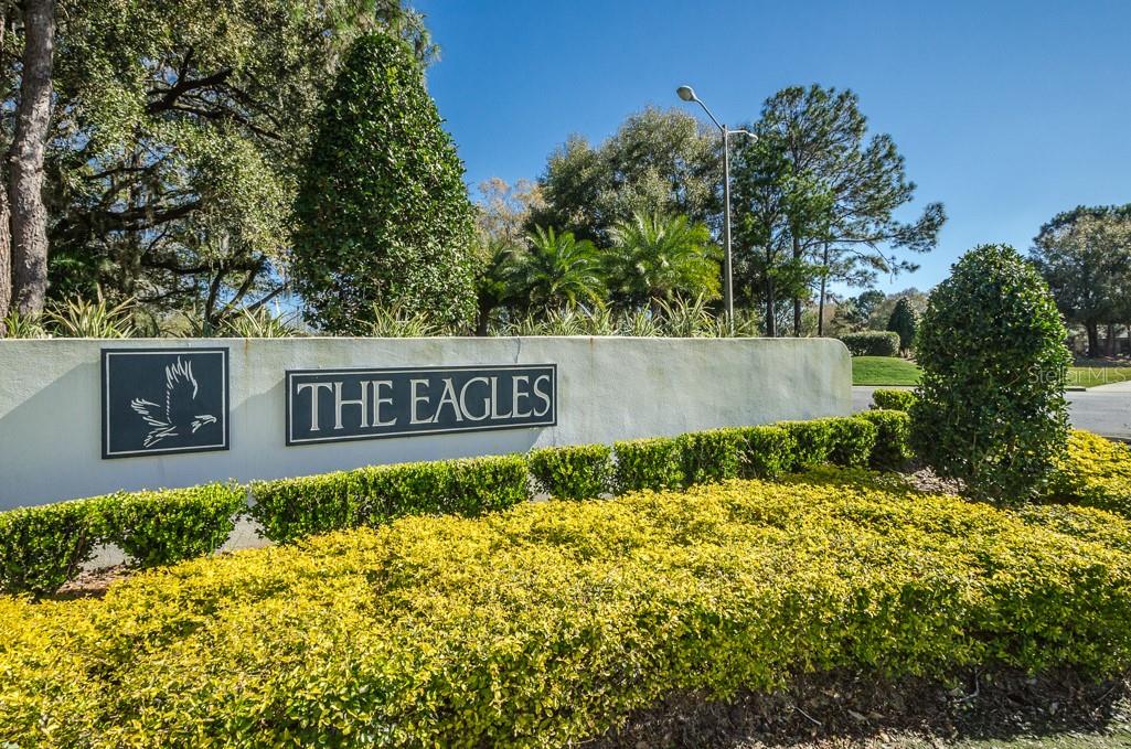 12501 EAGLES ENTRY DR
