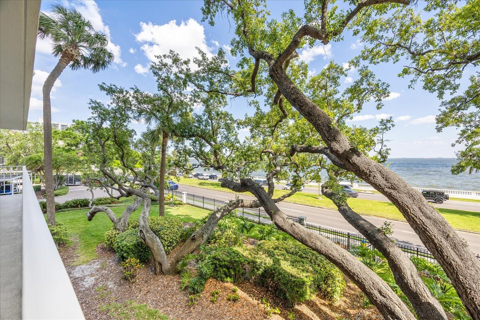 2611 BAYSHORE BLVD #207