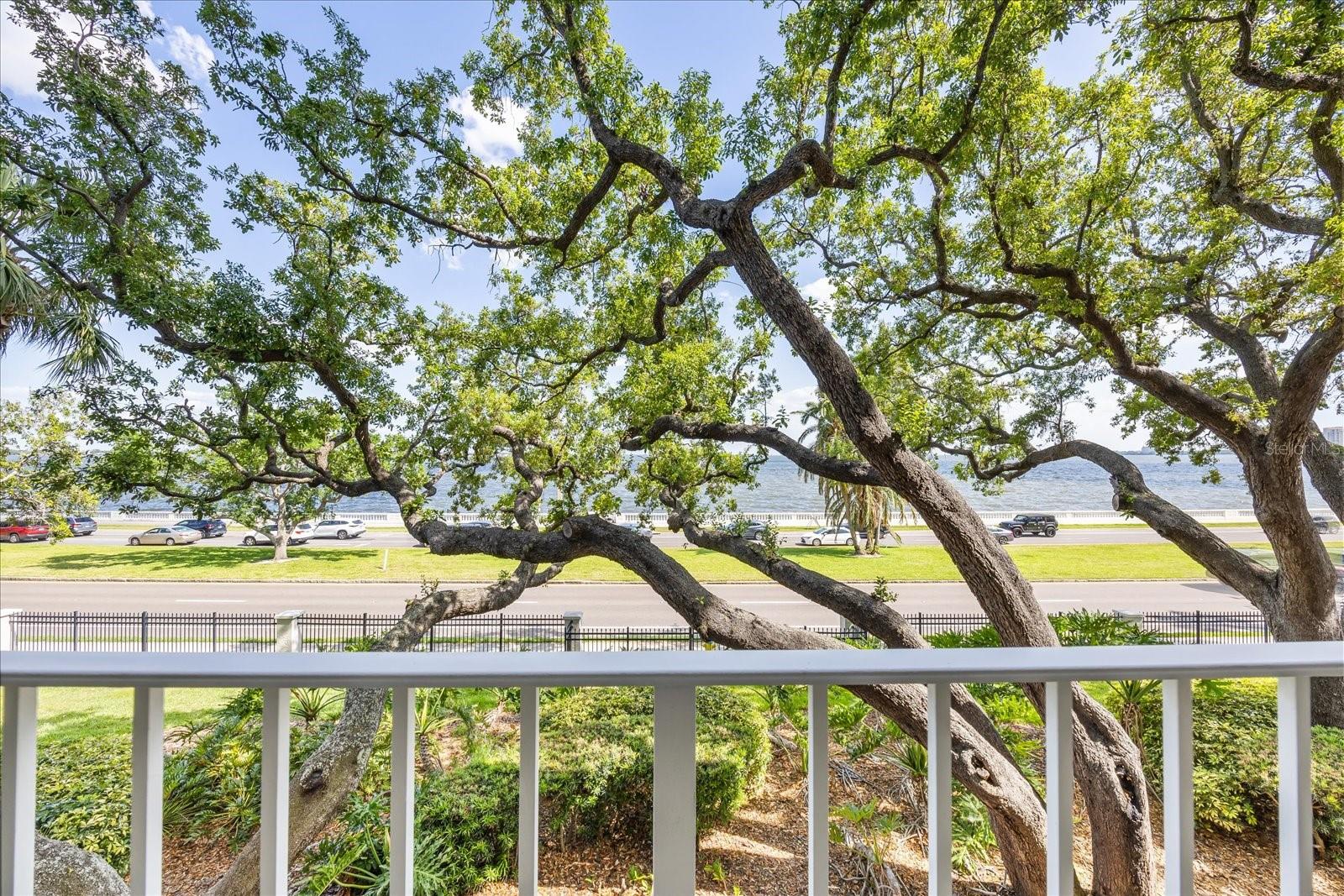 2611 BAYSHORE BLVD #207