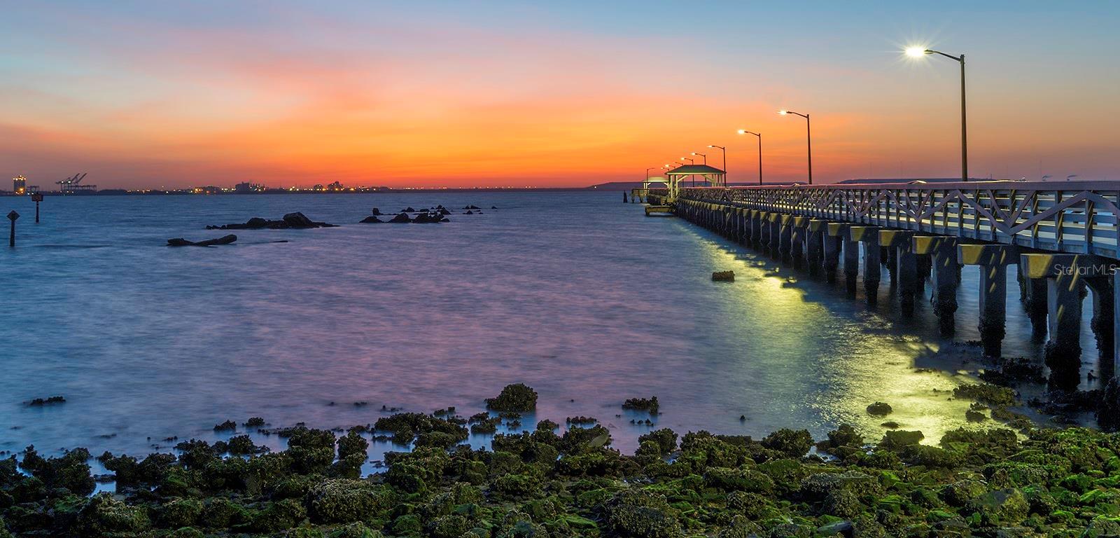2611 BAYSHORE BLVD #207