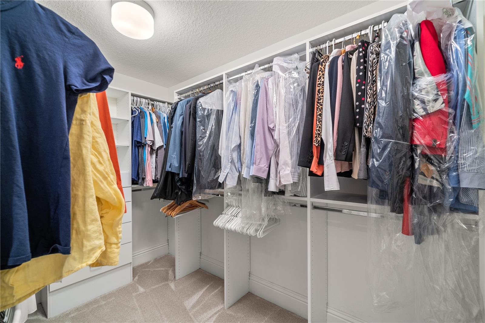 4201 BAYSHORE BLVD #502