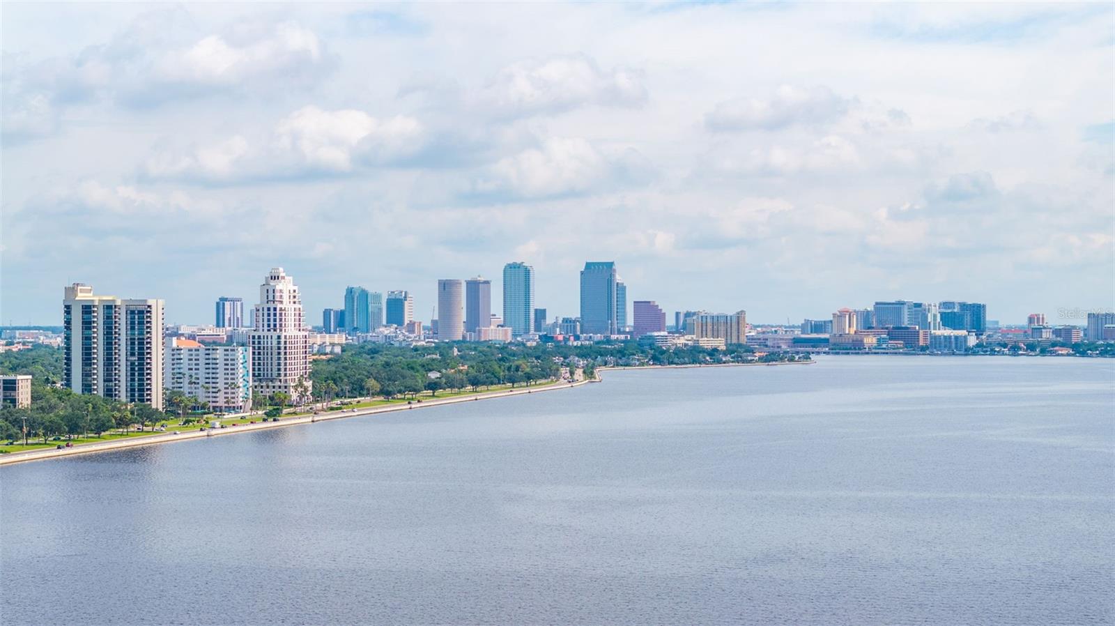 3301 BAYSHORE BLVD #1908B