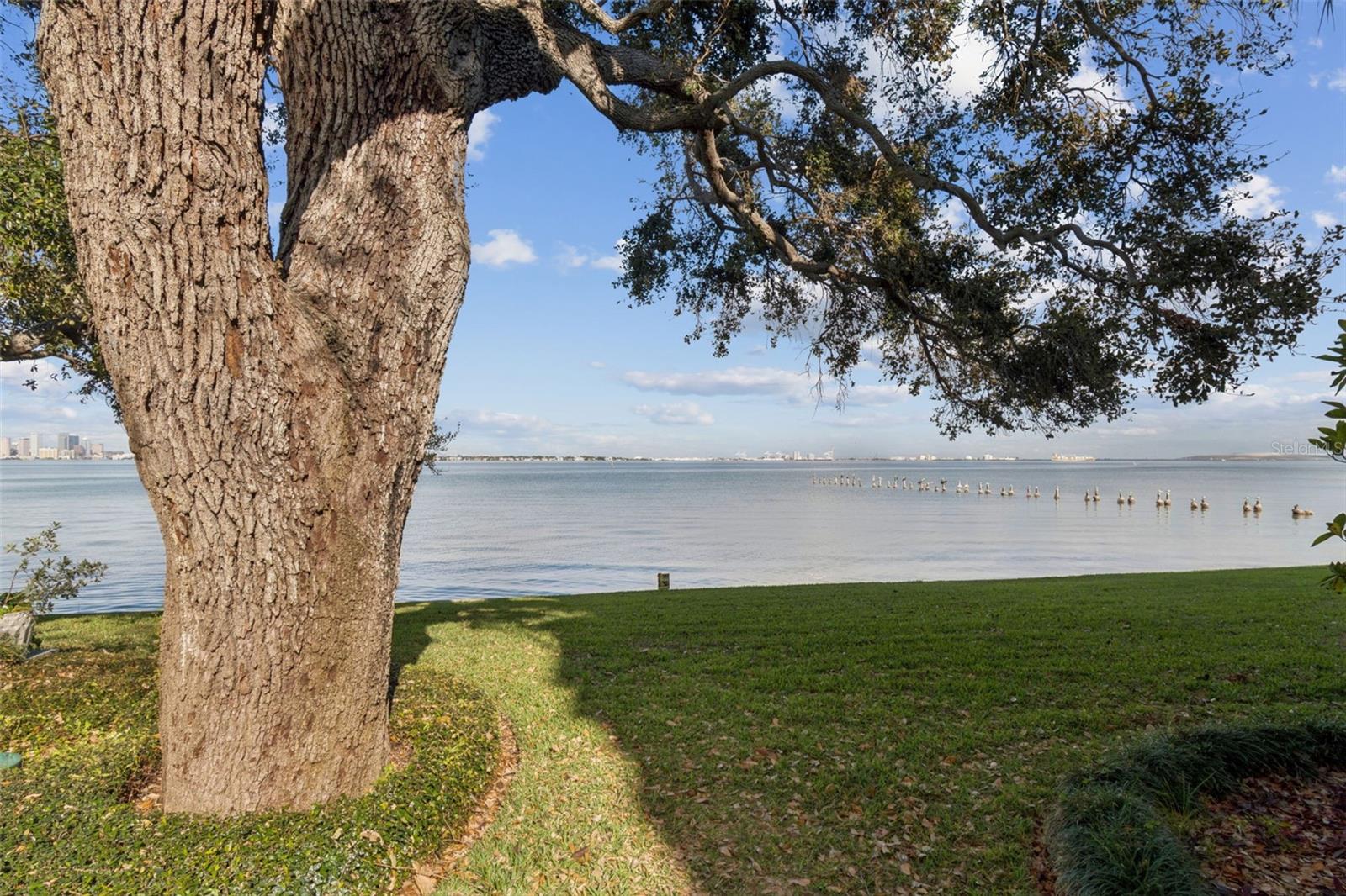 5010 BAYSHORE BLVD #9