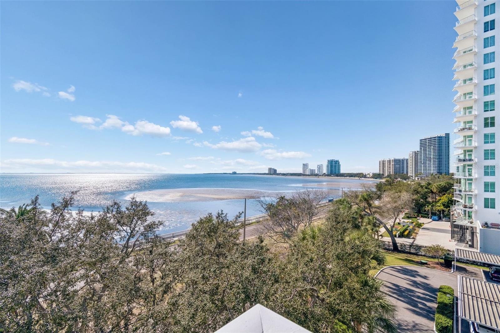 2611 BAYSHORE BLVD #601