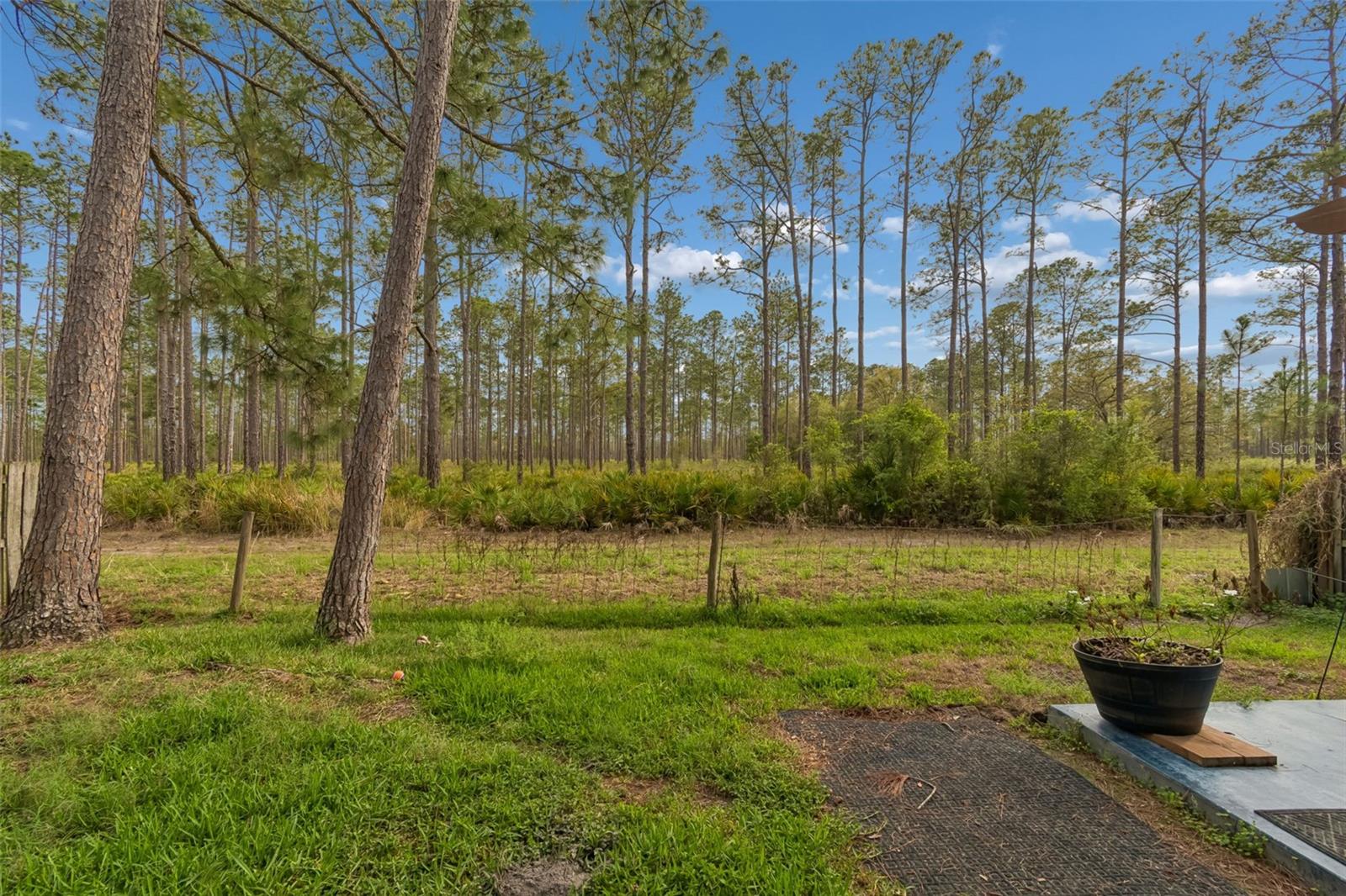 9421 WILLOW COVE CT