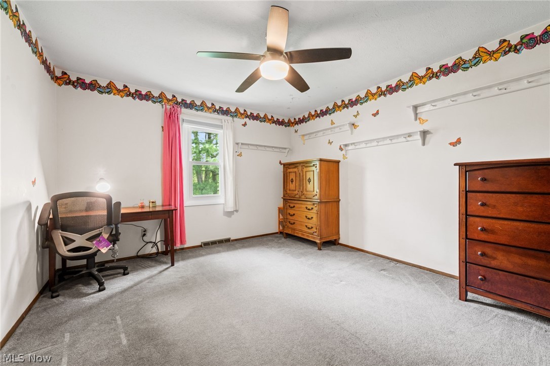 17841 Spyglass Hill