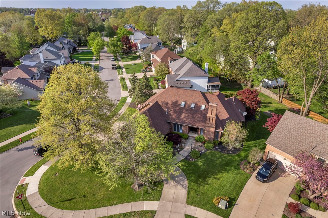 3911 Colonial Court