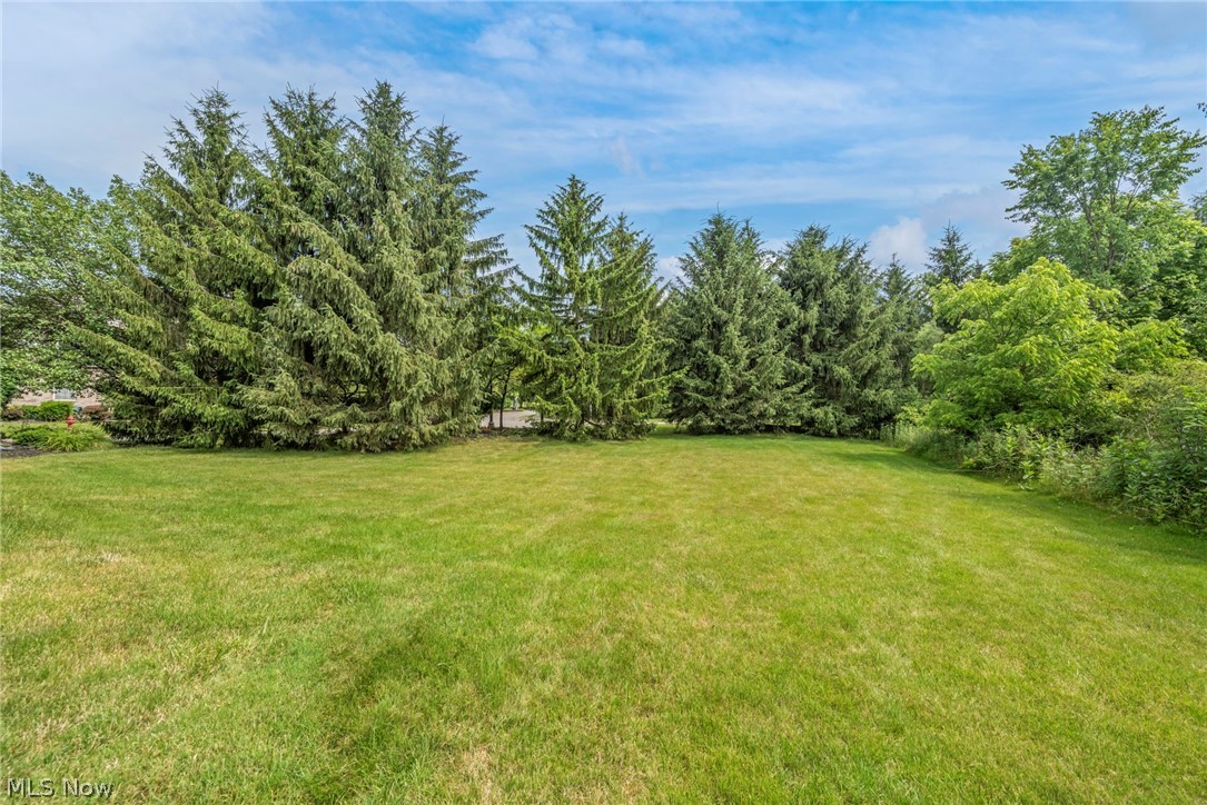 286 Preserve Lane