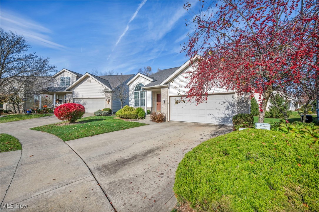 2565 Redtail Court