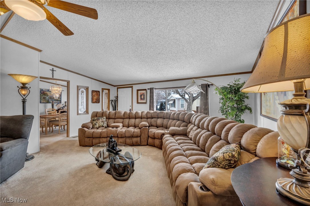 165 Ashwood