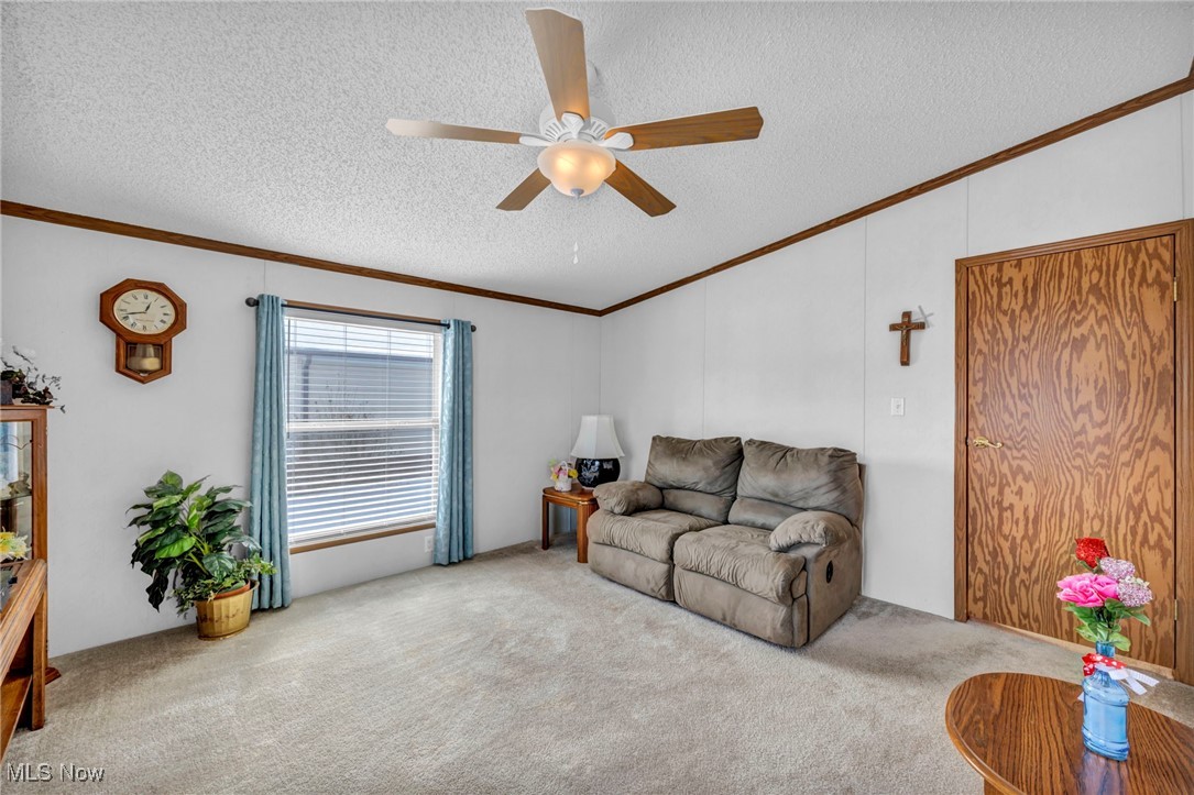 165 Ashwood