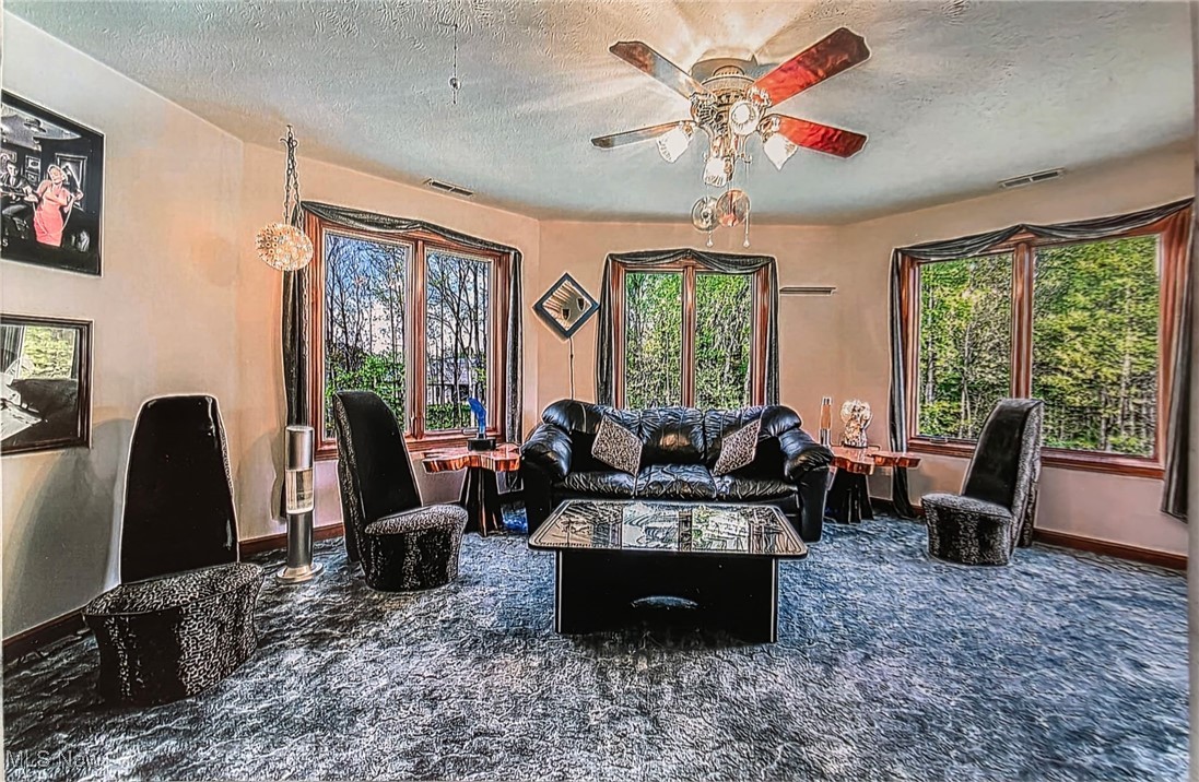 6419 S Rim Circle
