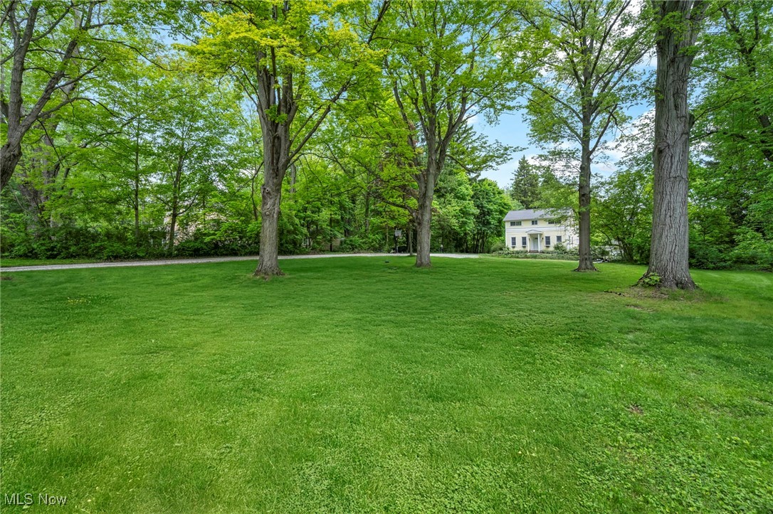 12703 Chippewa Road