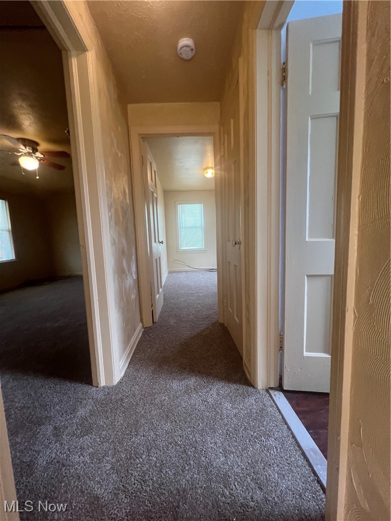 1707 Catalpa Road