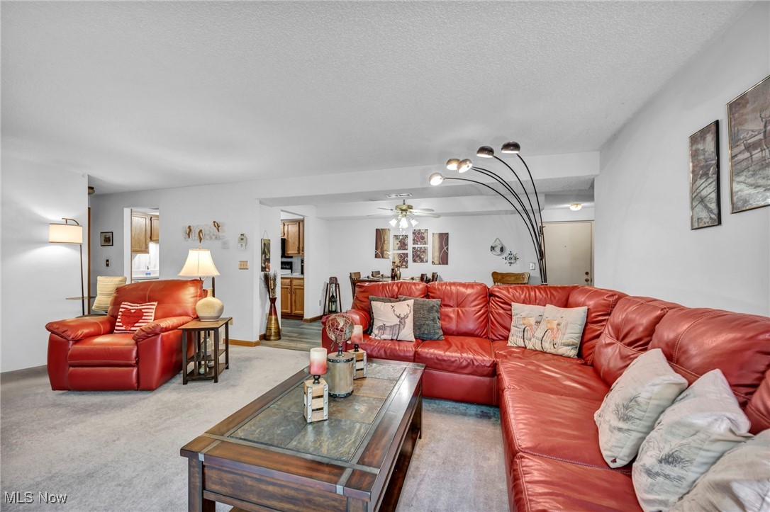6225 Hidden Creek Creek 223