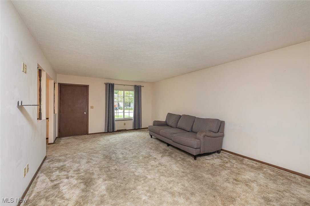 10310 Greenview Drive