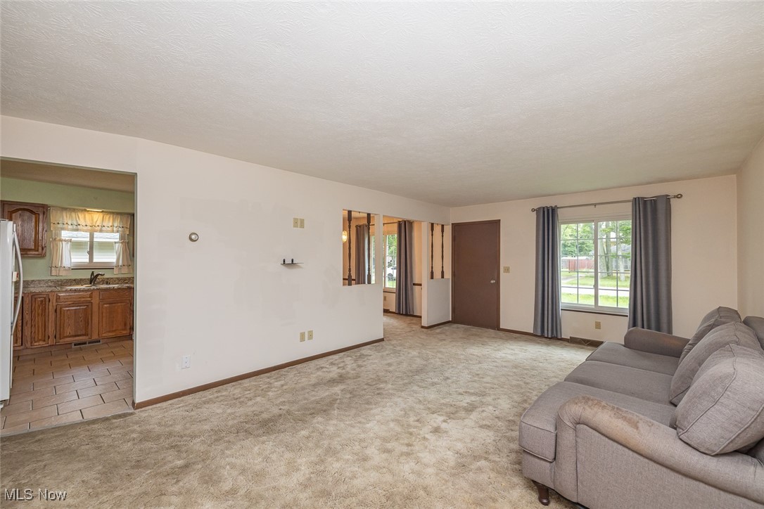 10310 Greenview Drive