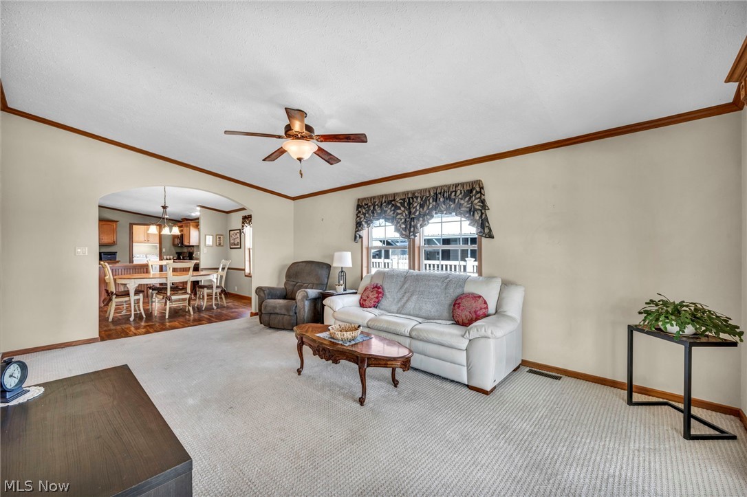 378 Pin Oak