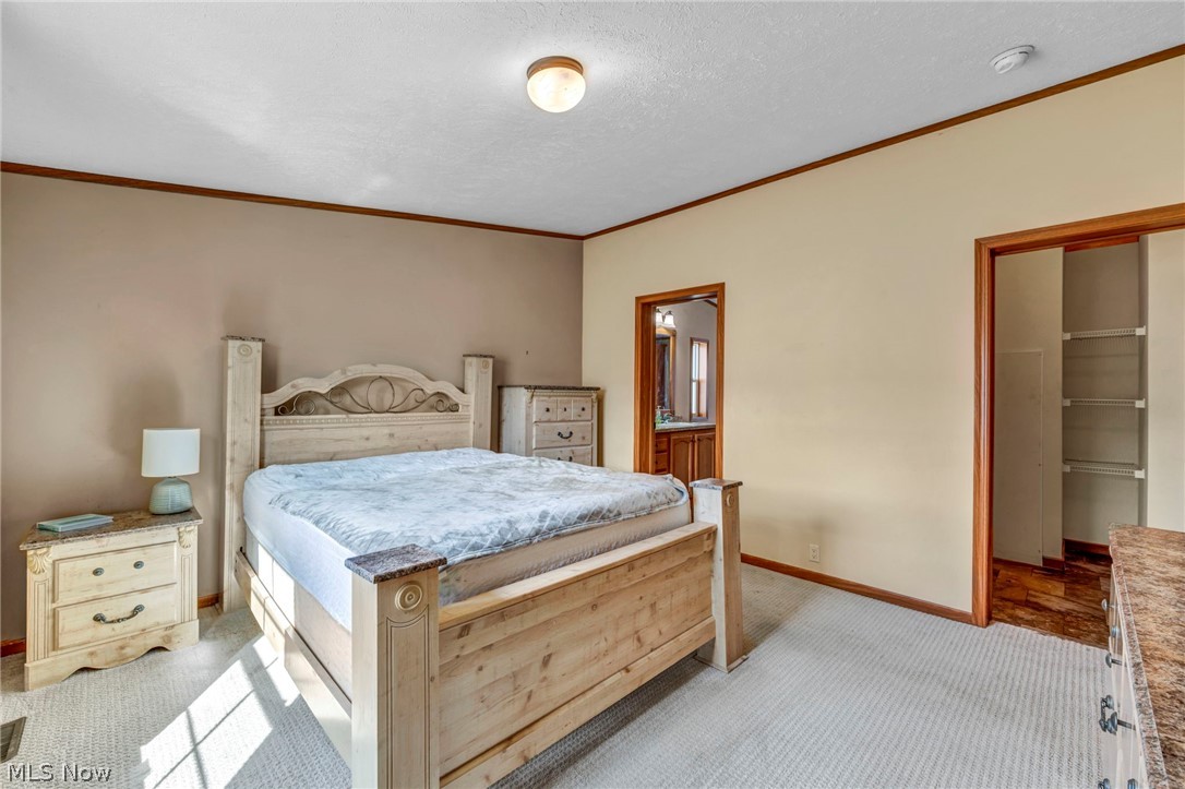 378 Pin Oak