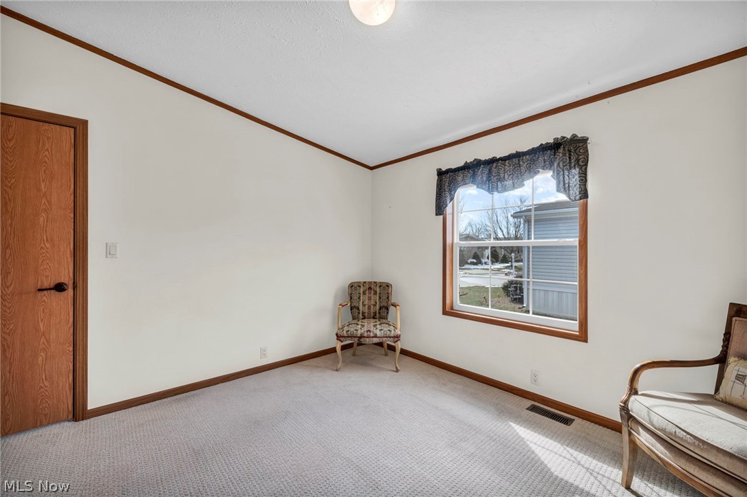 378 Pin Oak
