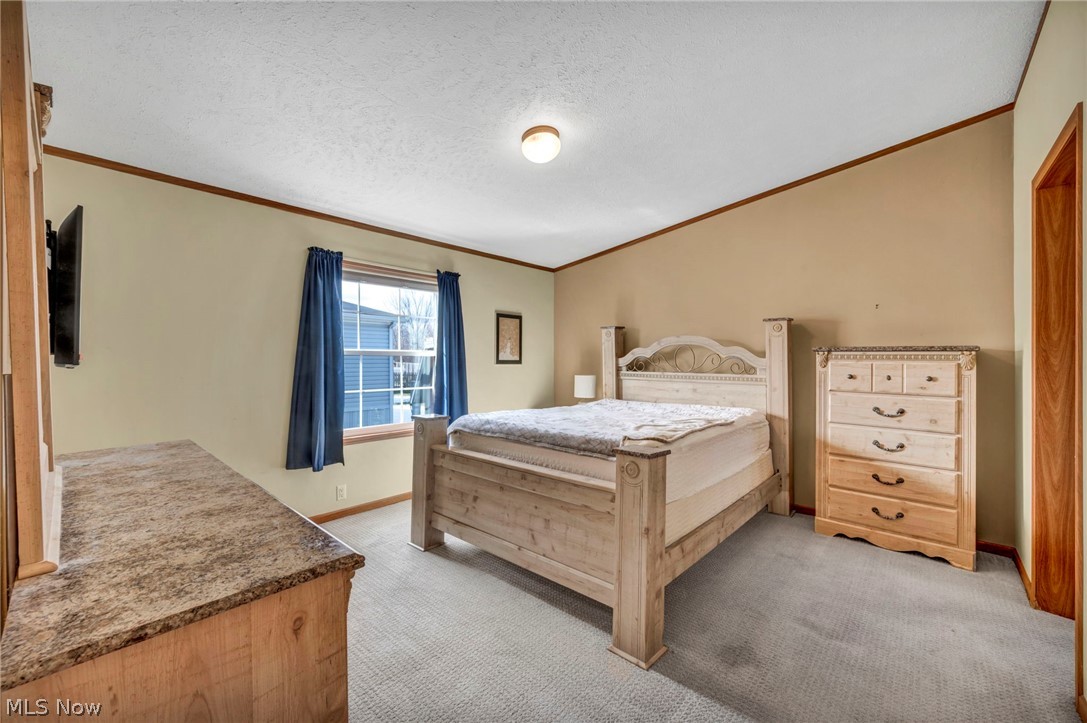 378 Pin Oak