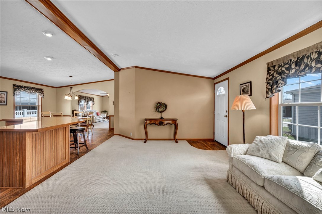 378 Pin Oak