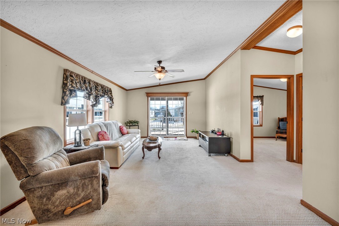 378 Pin Oak