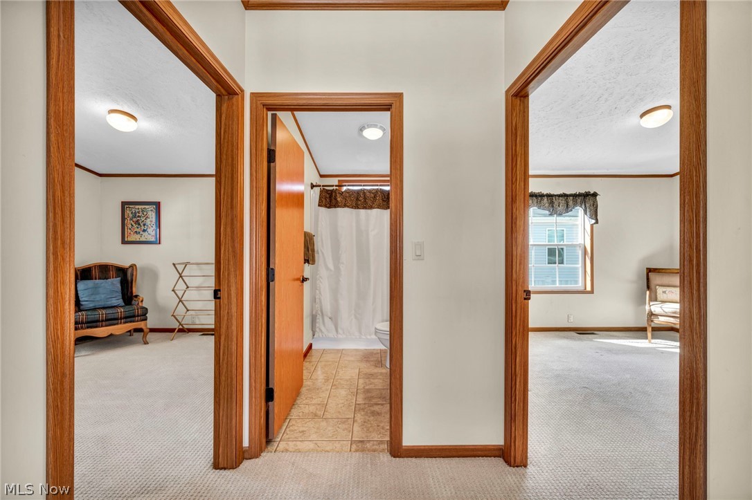 378 Pin Oak