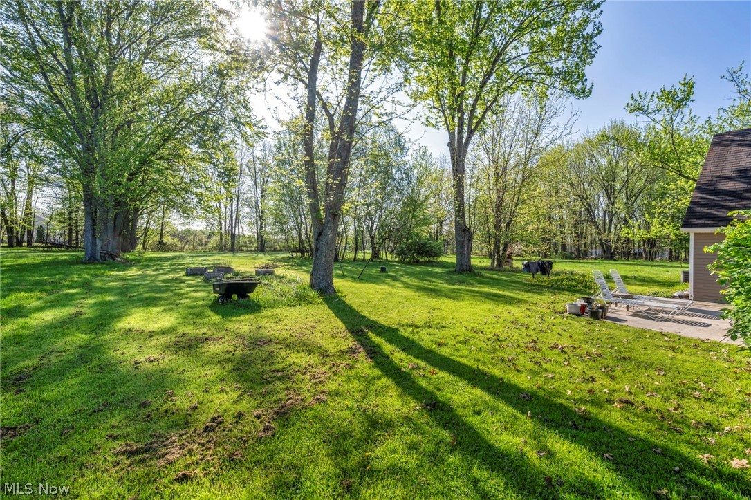 8689 Stearns Road